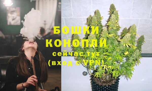 PSILOCYBIN Кулебаки