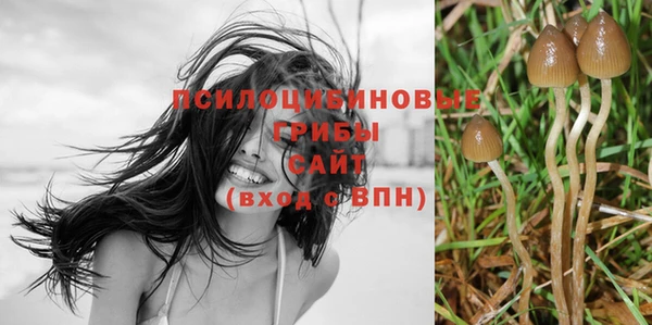 бутират Красноперекопск